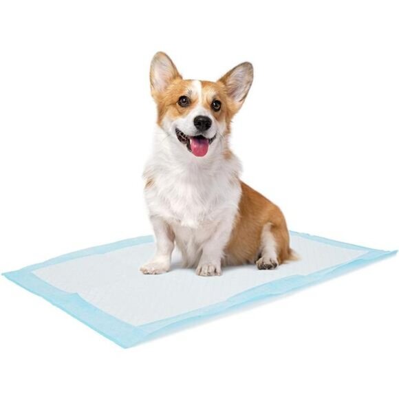 Dog and Puppy Training Pads, 13”×18” Disposable Dog Pee Pads, 100/Counts - Picture 1 of 6